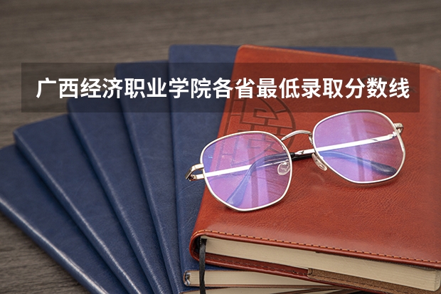 广西经济职业学院各省最低录取分数线及位次（广西科技师范学院分数线）
