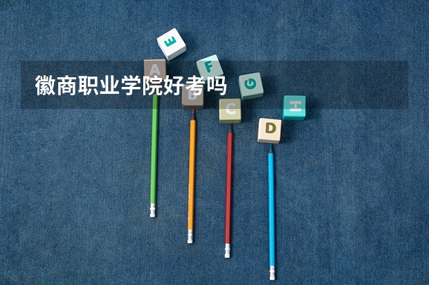 徽商职业学院好考吗