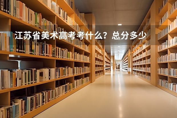 江苏省美术高考考什么？总分多少