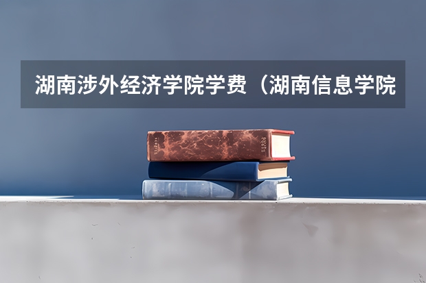 湖南涉外经济学院学费（湖南信息学院学费）
