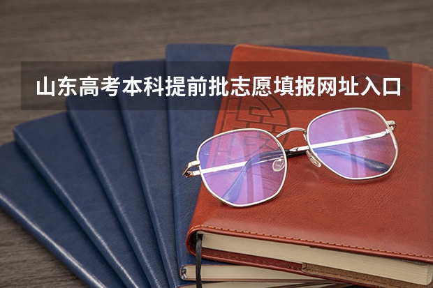 山东高考本科提前批志愿填报网址入口怎么进,如何填报