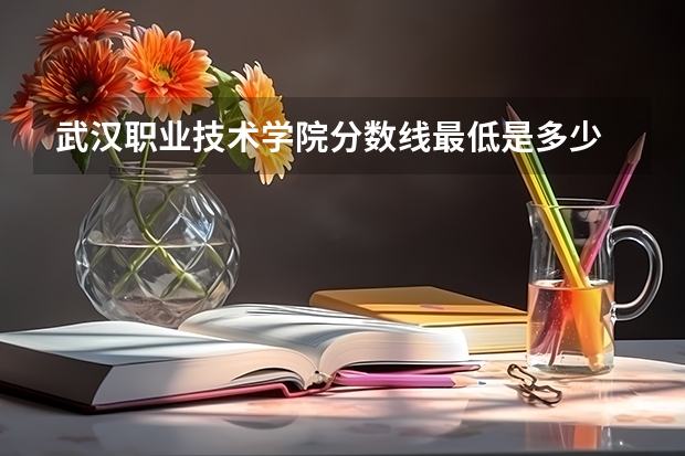 武汉职业技术学院分数线最低是多少