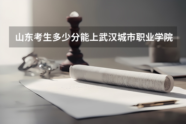 山东考生多少分能上武汉城市职业学院