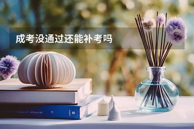 成考没通过还能补考吗