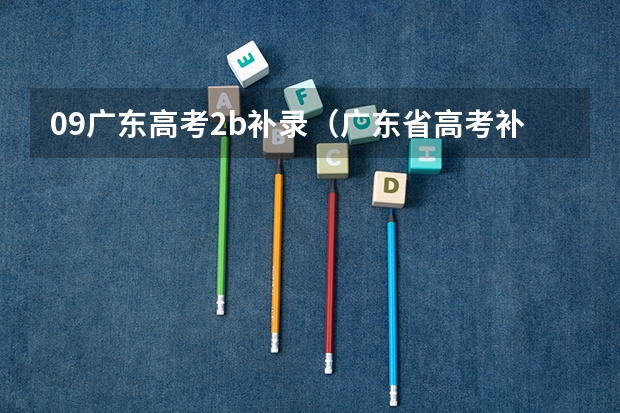 09广东高考2b补录（广东省高考补报名流程）