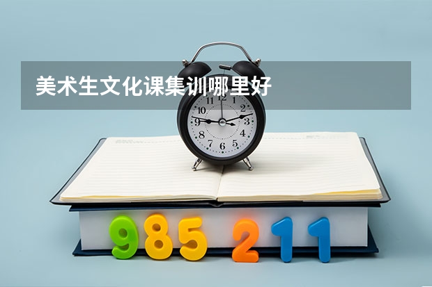 美术生文化课集训哪里好