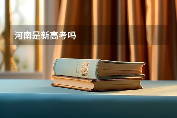 河南是新高考吗