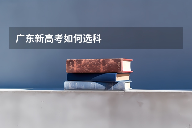 广东新高考如何选科
