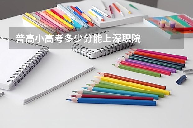普高小高考多少分能上深职院