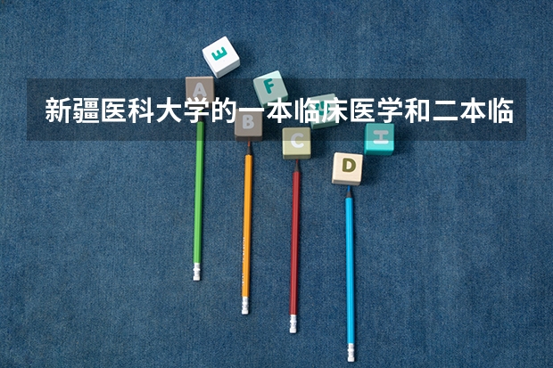 新疆医科大学的一本临床医学和二本临床医学有什么不同？