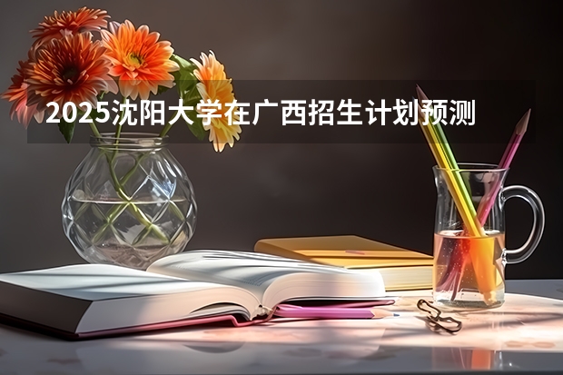 2025沈阳大学在广西招生计划预测