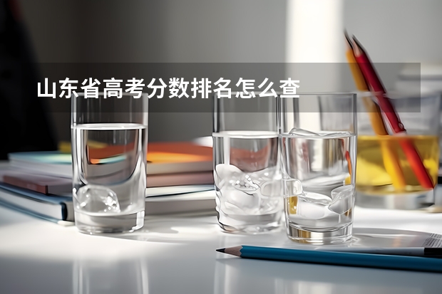 山东省高考分数排名怎么查