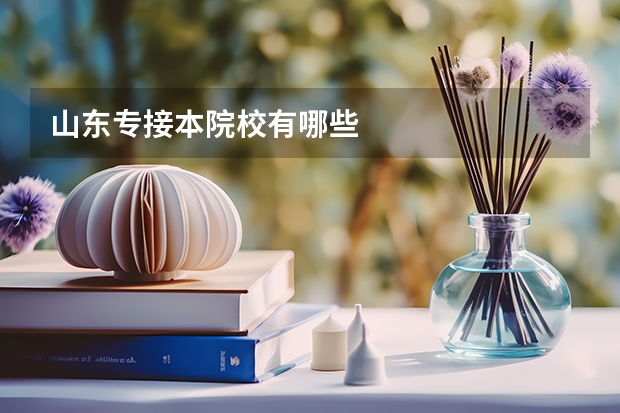 山东专接本院校有哪些