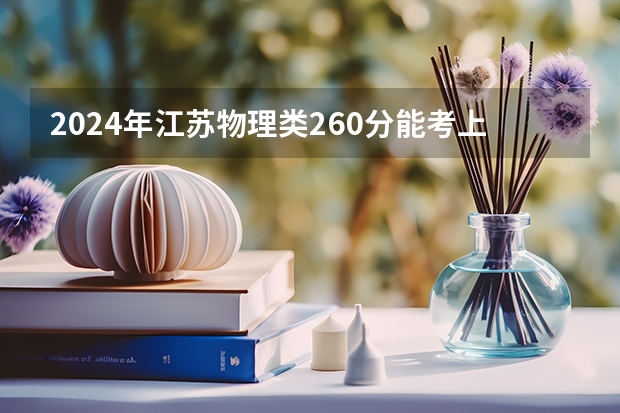 2024年江苏物理类260分能考上什么大学？