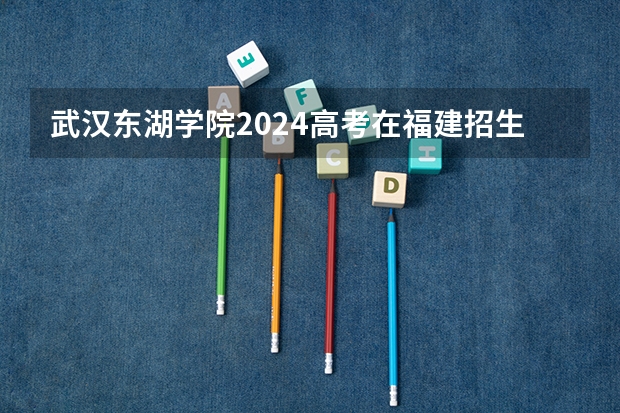 武汉东湖学院2024高考在福建招生计划介绍