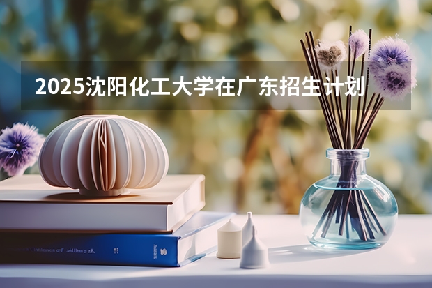 2025沈阳化工大学在广东招生计划预测