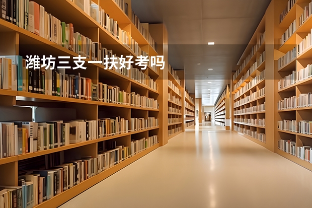 潍坊三支一扶好考吗