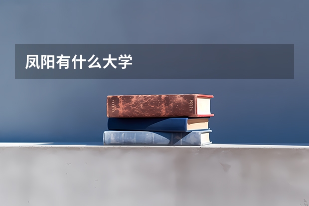 凤阳有什么大学