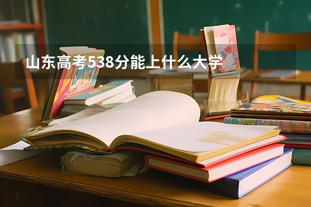 山东高考538分能上什么大学
