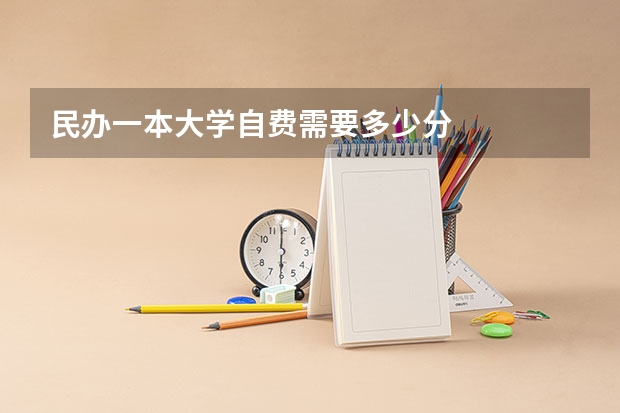 民办一本大学自费需要多少分