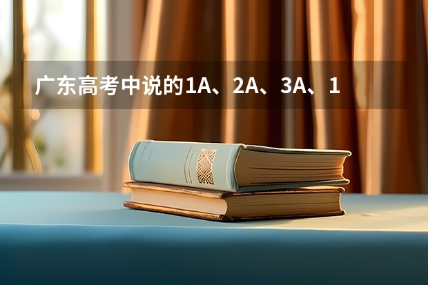 广东高考中说的1A、2A、3A、1B、2B、3B是怎么划分分数的