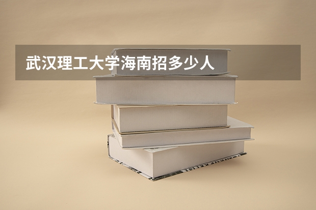 武汉理工大学海南招多少人