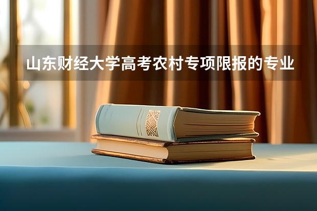 山东财经大学高考农村专项限报的专业有哪些