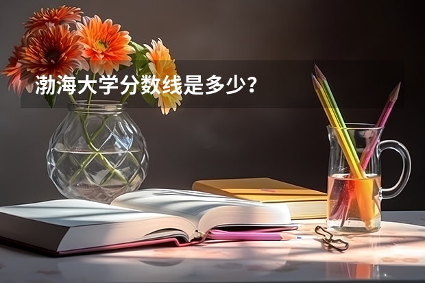 渤海大学分数线是多少？