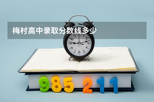 梅村高中录取分数线多少