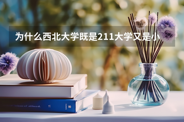 为什么西北大学既是211大学又是小211大学
