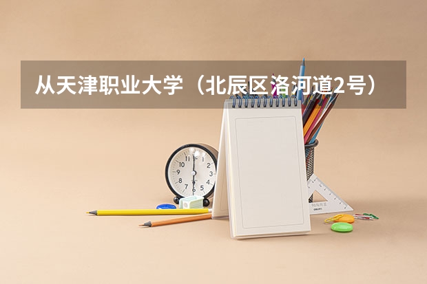 从天津职业大学（北辰区洛河道2号）到天津南站打车多长时间？多少钱?