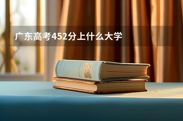 广东高考452分上什么大学