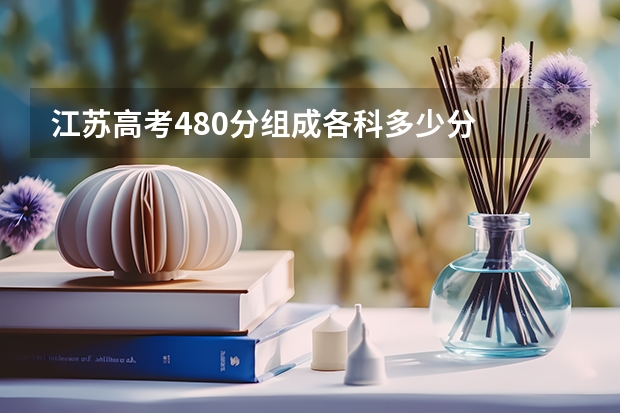 江苏高考480分组成各科多少分