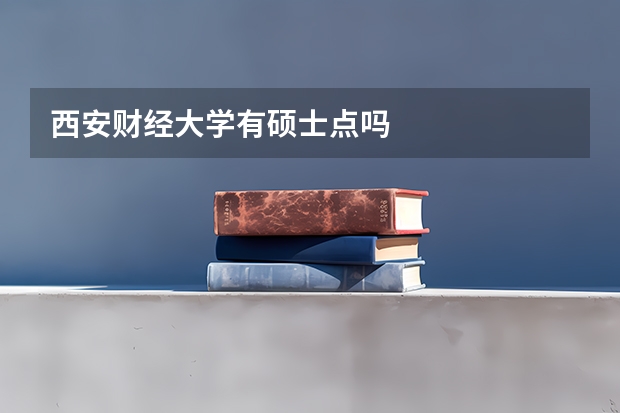 西安财经大学有硕士点吗