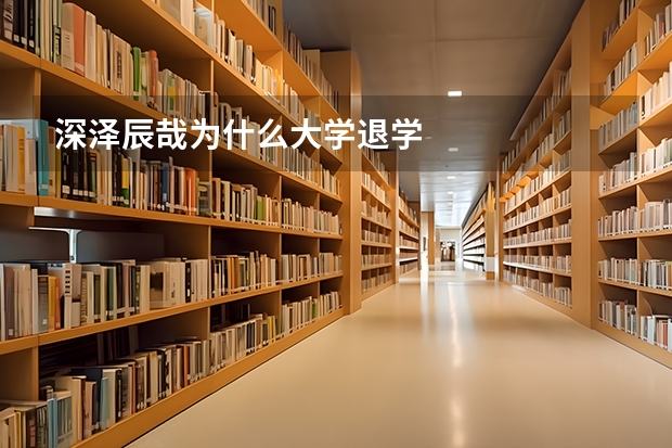 深泽辰哉为什么大学退学