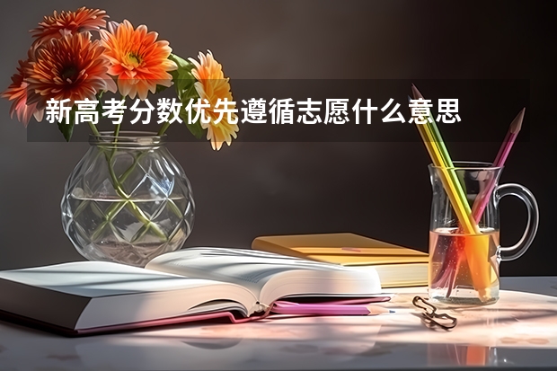 新高考分数优先遵循志愿什么意思