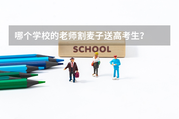 哪个学校的老师割麦子送高考生？