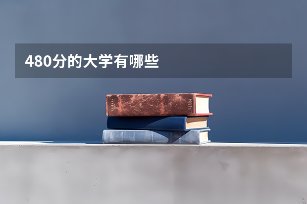 480分的大学有哪些