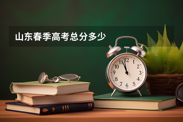 山东春季高考总分多少