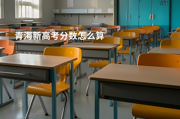 青海新高考分数怎么算