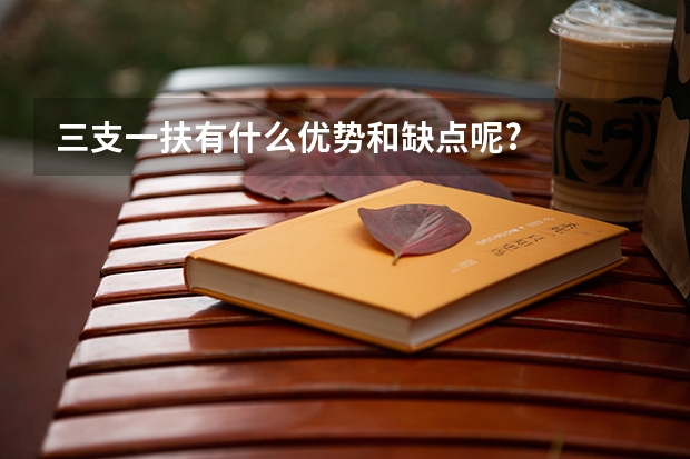 三支一扶有什么优势和缺点呢?