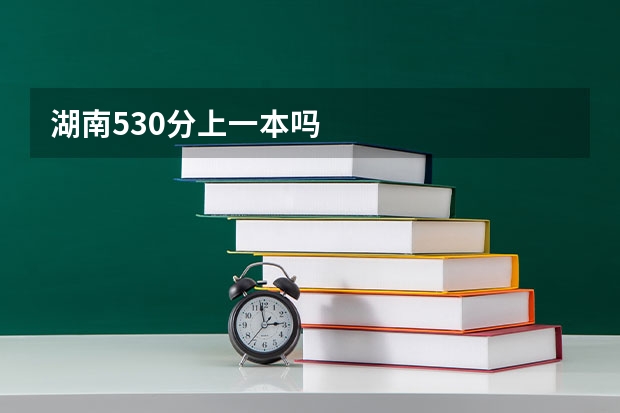湖南530分上一本吗