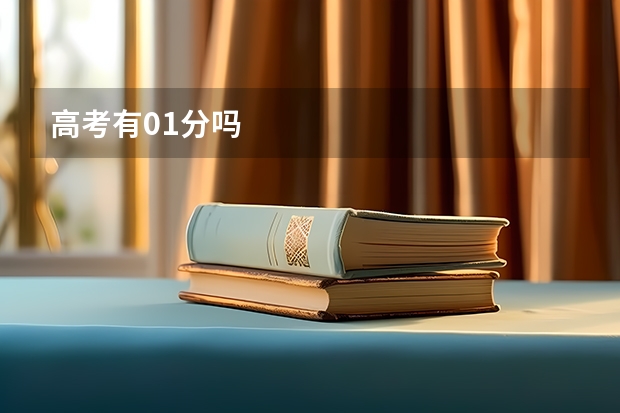 高考有0.1分吗