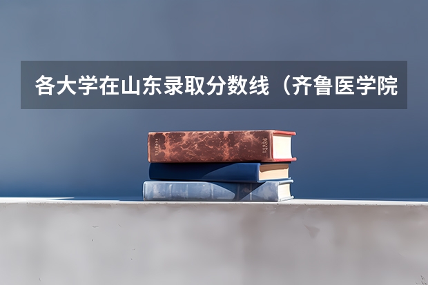 各大学在山东录取分数线（齐鲁医学院分数线）