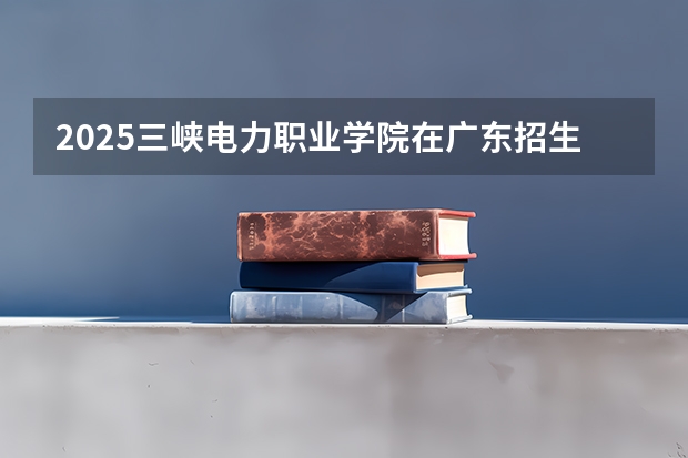 2025三峡电力职业学院在广东招生计划