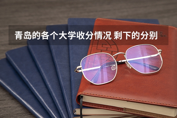 青岛的各个大学收分情况 剩下的分别是青岛大学（山东青岛大学录取分数线）