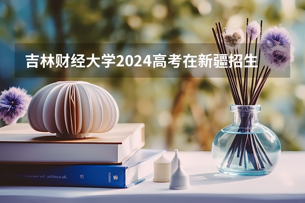 吉林财经大学2024高考在新疆招生计划介绍