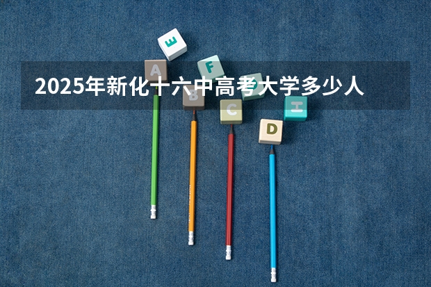 2025年新化十六中高考大学多少人