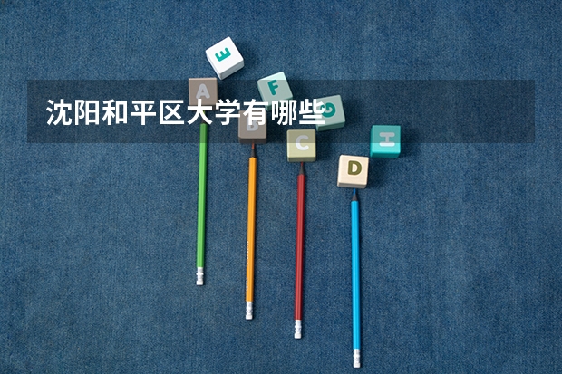 沈阳和平区大学有哪些