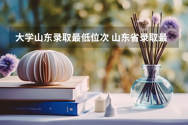 大学山东录取最低位次 山东省录取最低位次
